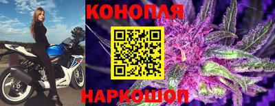 гашик Апшеронск